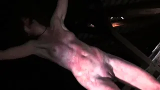 Best BDSM Porn